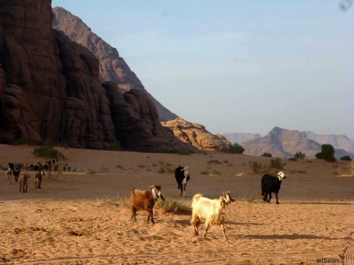 Sunrise Camp Hotel Wadi Rum Buitenkant foto