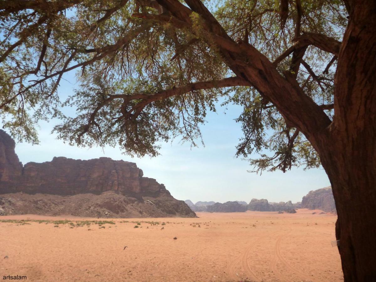 Sunrise Camp Hotel Wadi Rum Buitenkant foto
