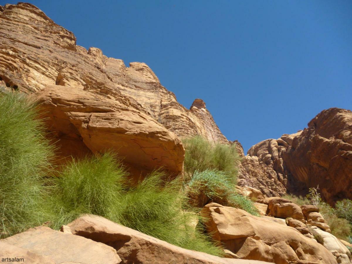Sunrise Camp Hotel Wadi Rum Buitenkant foto