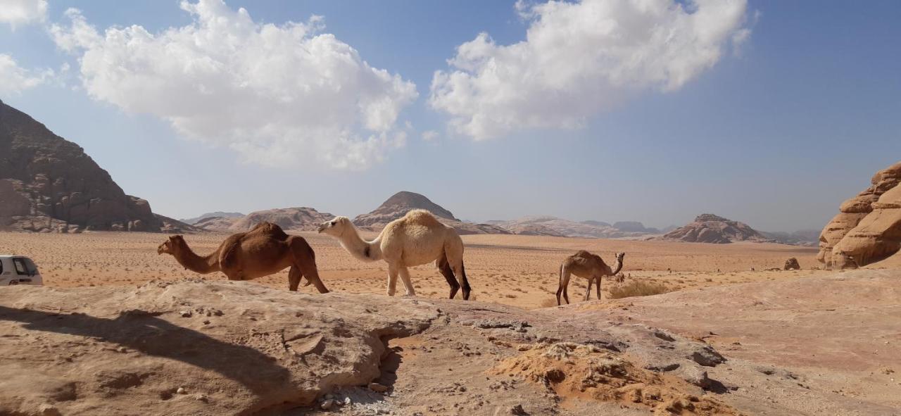 Sunrise Camp Hotel Wadi Rum Buitenkant foto