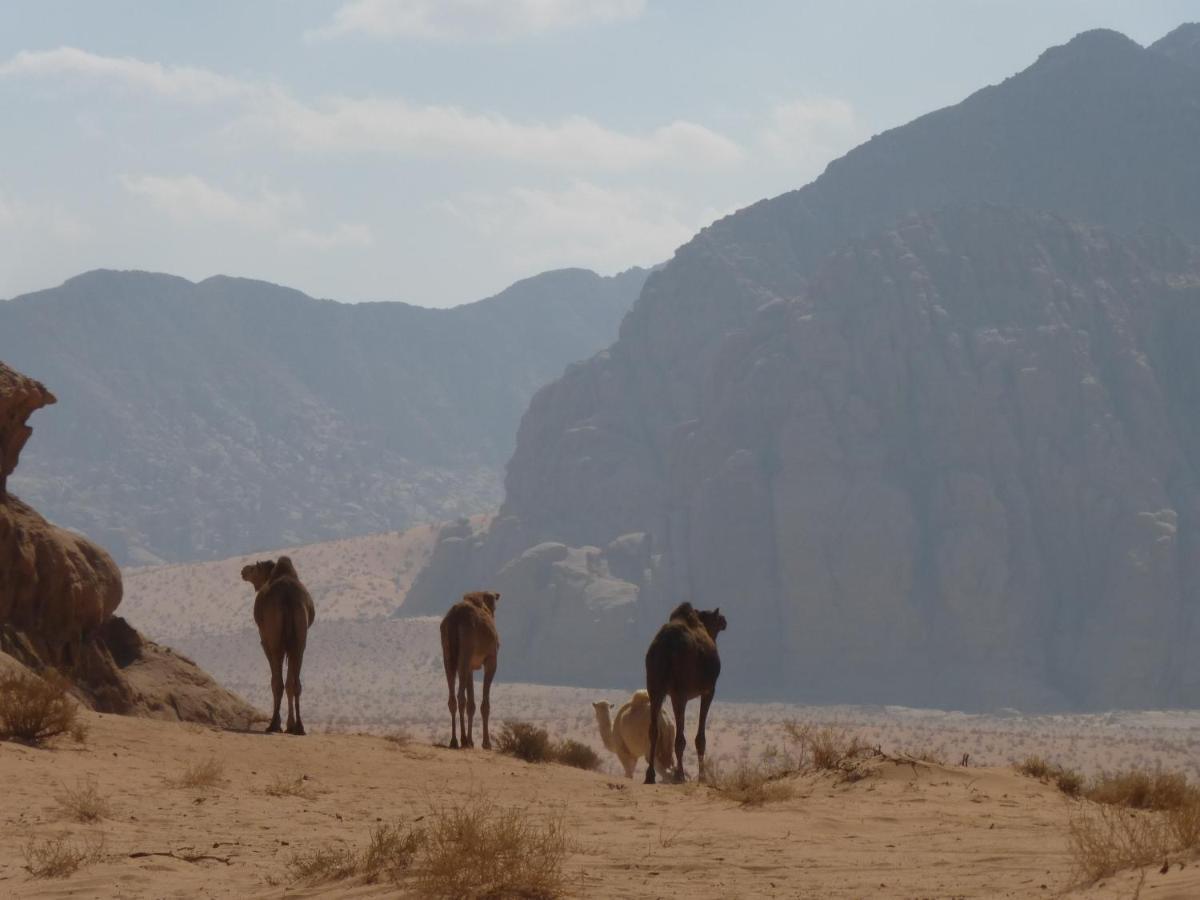 Sunrise Camp Hotel Wadi Rum Buitenkant foto